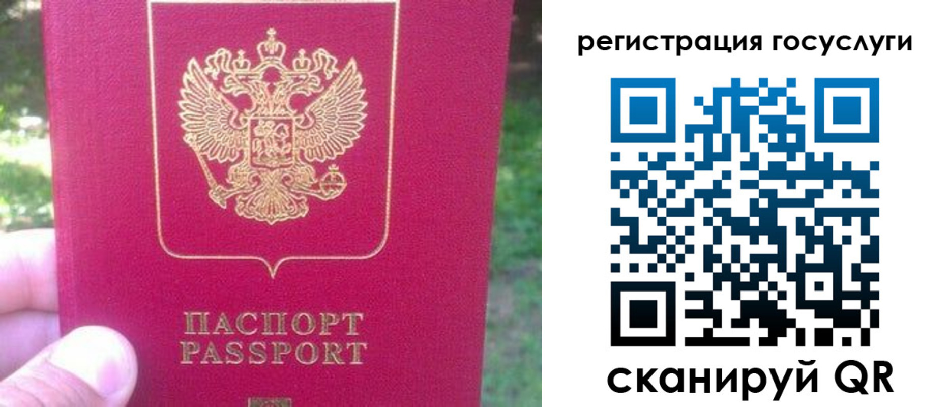 временная прописка в Боровичах
